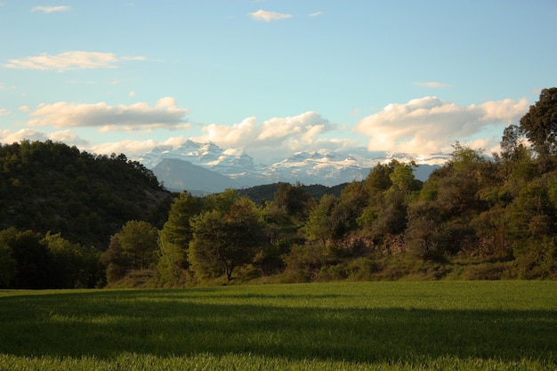 Foto montaña en el pirineo, da soleado, cielo azul y nubes, arboles. monte perdido.