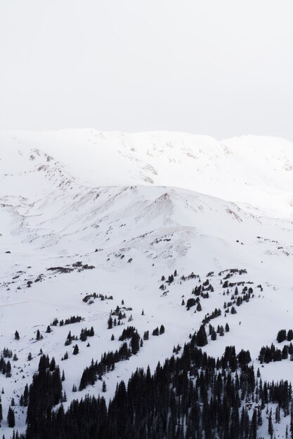 Foto montaña recoge calas con nieve.