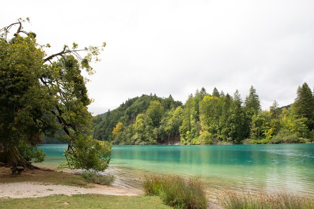 Foto montaña río cascada turquesa agua clara ecología