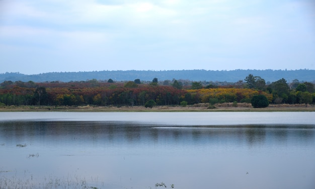 montaña y rio en la naturaleza