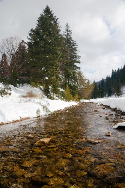 Montaña del Río