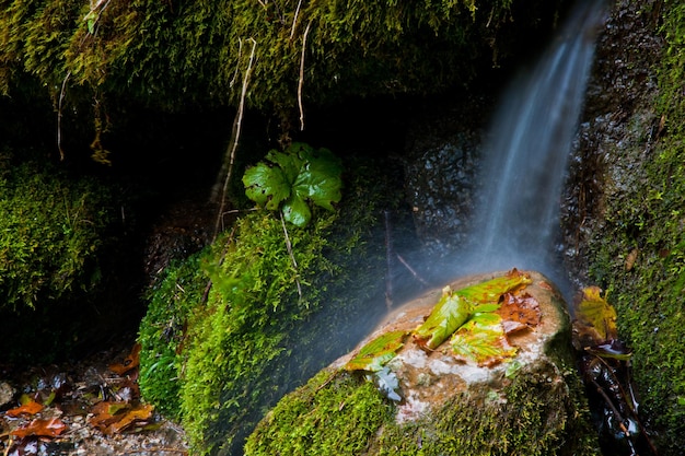 Montaña del Río