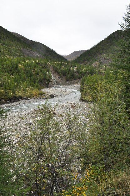 Montaña del Río