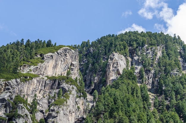 Montaña con rocas y árboles.