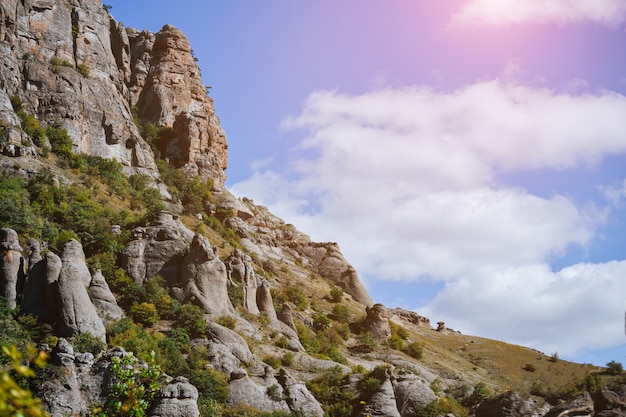 Foto montaña rocosa con árboles con cielo azul