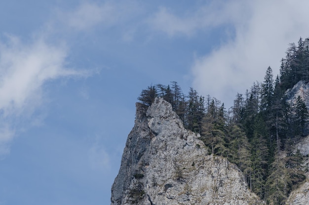 montaña rocosa y árboles