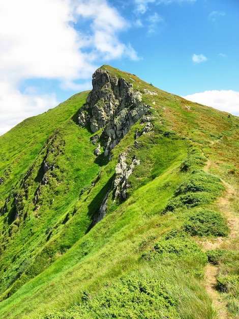 Montaña rocosa en verano