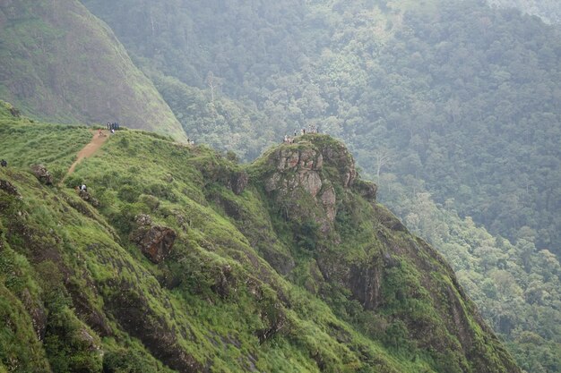 Foto montaña salvaje