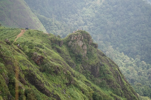 Foto montaña salvaje