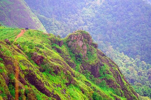 Foto montaña salvaje