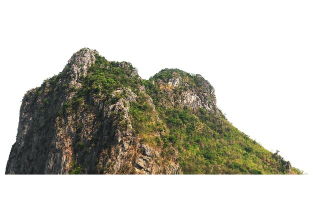 Foto la montaña tiene muchos árboles naturales separados del fondo blanco