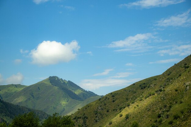 Foto una montaña verde con una nube blanca en el cielo