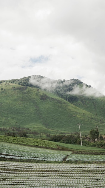 Una montaña verde con nubes al fondo