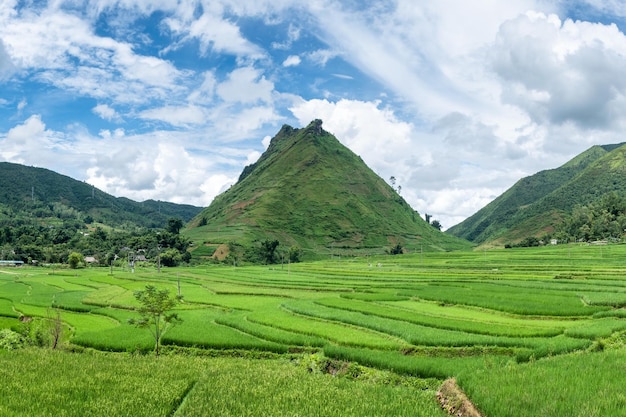 Montaña verde con terrazas de arrozales