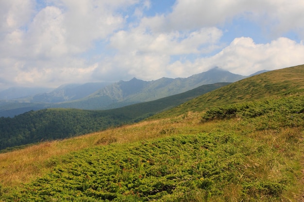 Foto en la montaña