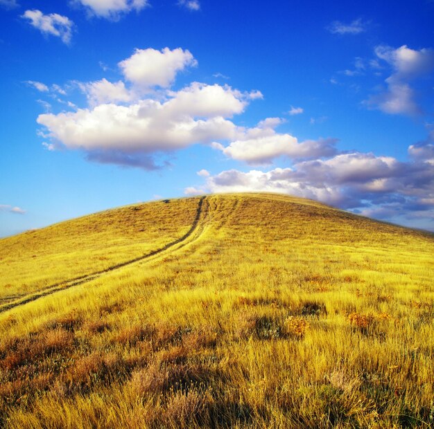 Foto la montaña