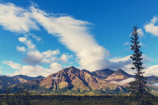 Montañas de Alaska en verano