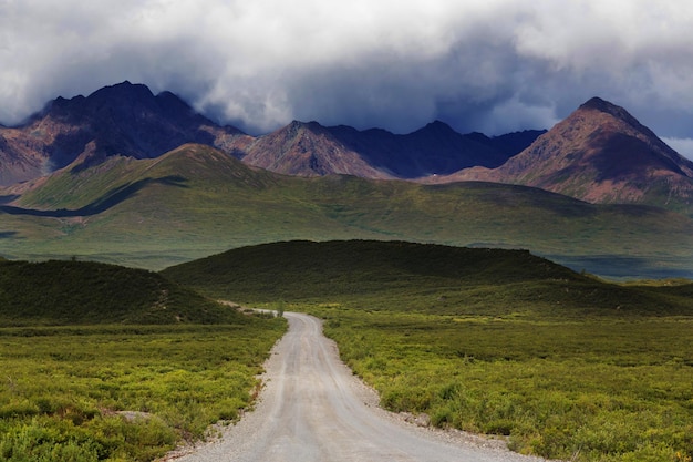 Montañas de Alaska en verano