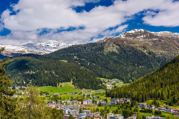 Montañas de los Alpes cubiertas de bosque de pinos Davos Graubuenden Sw