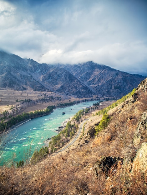 Montañas altas, un río de montaña Katun de color turquesa.