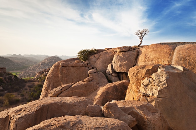 Montañas y arbol