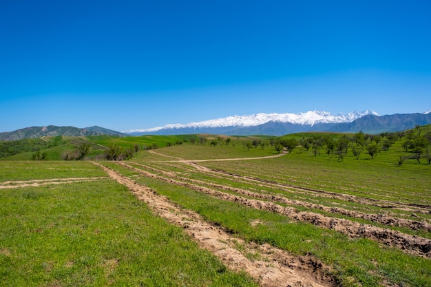 Montañas, árboles y cielo en el campo en Kirguistán.