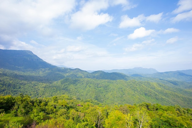 Montañas árboles y cielo