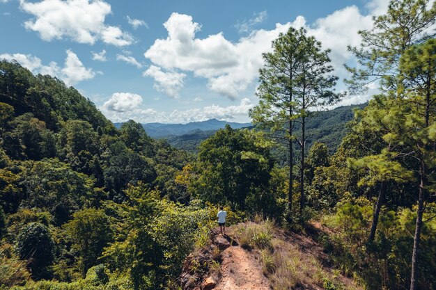 Montañas y árboles durante el verano diurno