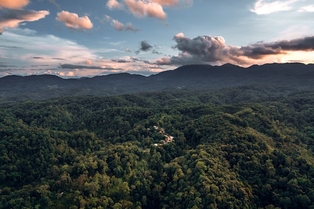 Montañas y bosque verde por la noche, vista de pájaro