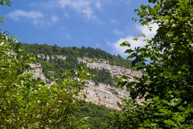 Montañas y bosques bajo un cielo azul claro con nubes.