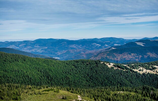 Montañas y bosques en el contexto del cielo azul del día