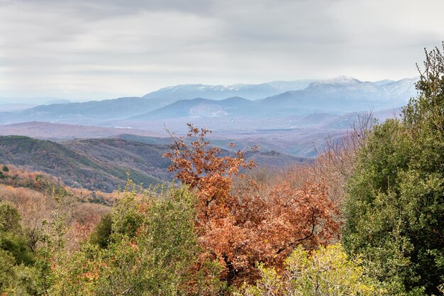 Montañas y bosques en un día de invierno Grecia