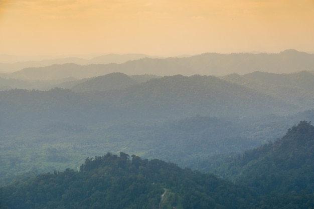 Montañas y bosques por la mañana.