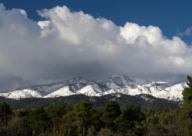 Montañas y bosques con nieve en el fondo de las nubes en un día soleado