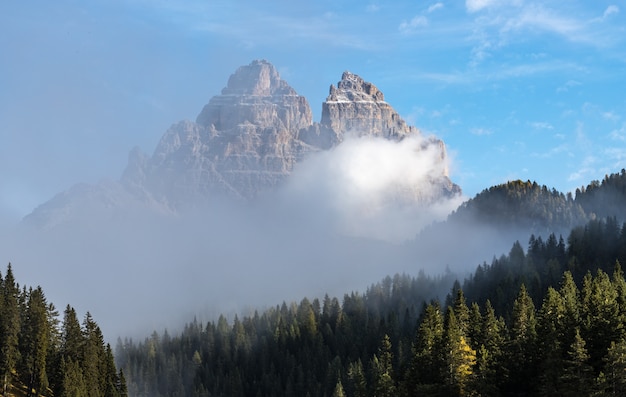 Montañas y bosques rodeados de nubes