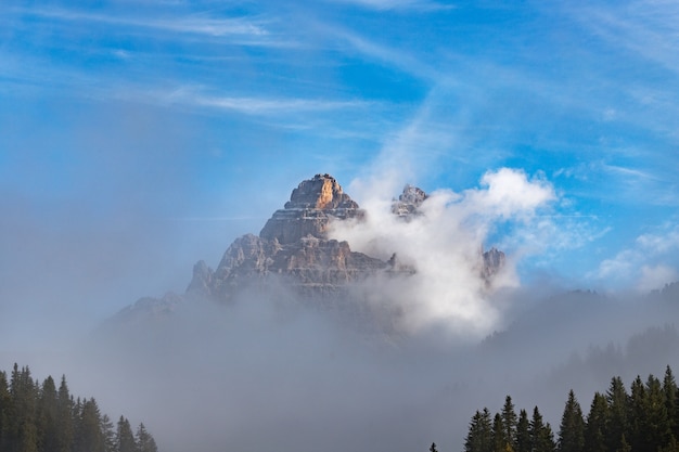 Montañas y bosques rodeados de nubes