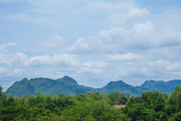 Montañas y bosques.