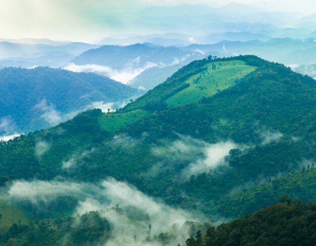 Montañas y bosques