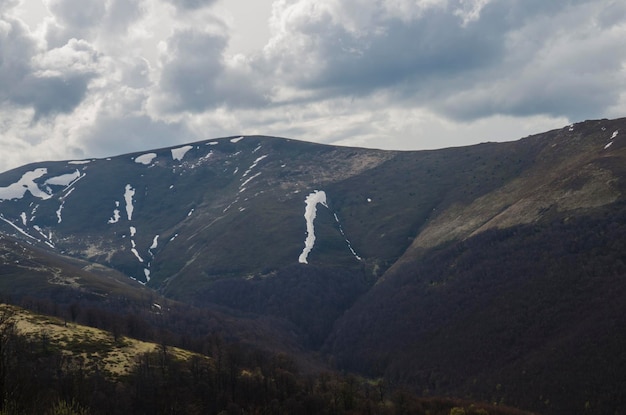 Montañas y bosques