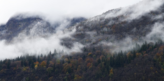 Montañas brumosas de otoño