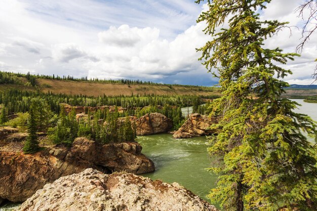 Montañas canadienses