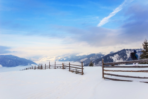 Foto montañas de los cárpatos de invierno