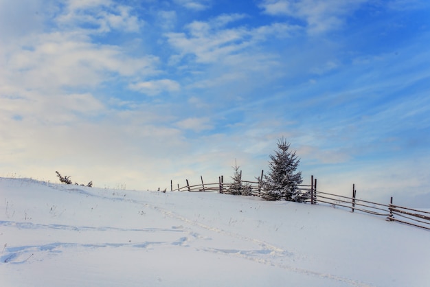 Montañas de los Cárpatos de invierno