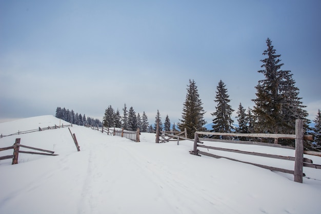 Montañas de los Cárpatos de invierno