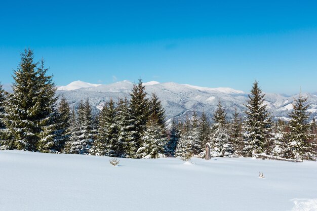 Montañas de los Cárpatos nevadas de invierno Ucrania