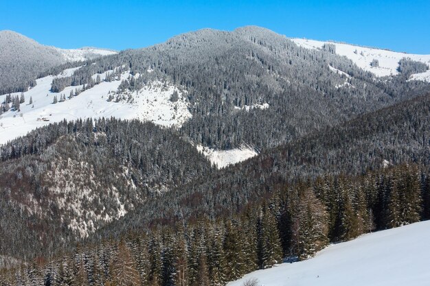 Montañas de los Cárpatos nevadas de invierno Ucrania