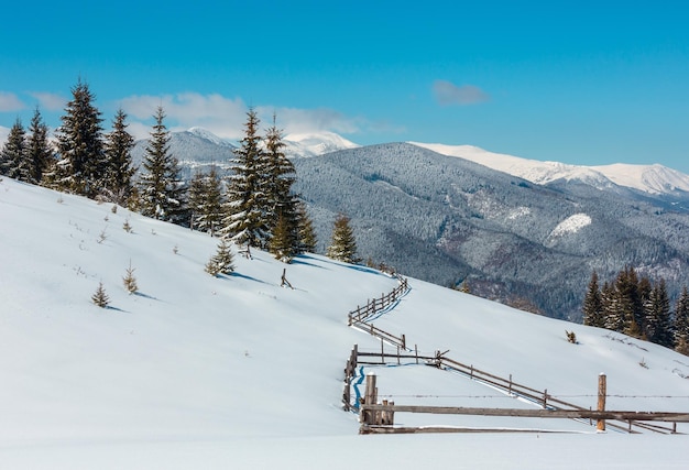 Montañas de los Cárpatos nevadas de invierno Ucrania