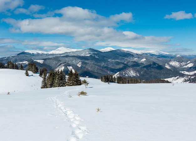 Montañas de los Cárpatos nevadas de invierno Ucrania