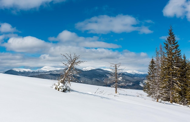 Montañas de los Cárpatos nevadas de invierno Ucrania