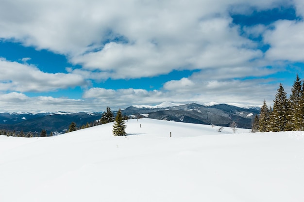 Montañas de los Cárpatos nevadas de invierno Ucrania